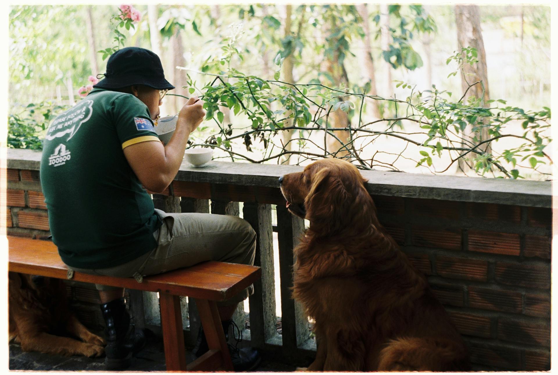 A Dog Sitting in Front of a Man Eating Food