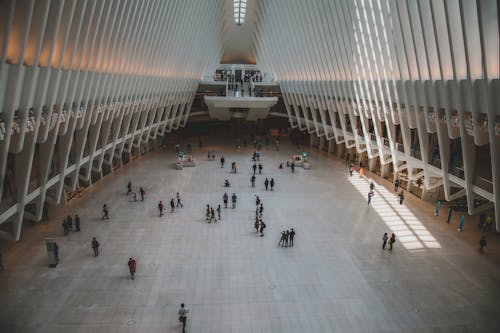 Základová fotografie zdarma na téma americký, Amerika, architektura