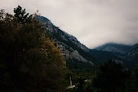 宁静的山地景观中，森林和云雾笼罩着山峰