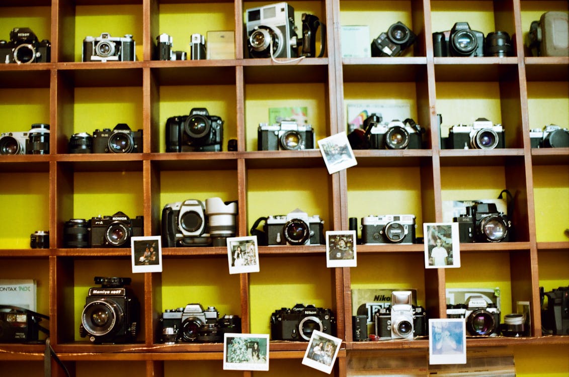 A Collection of Film Cameras Standing on Shelves · Free Stock Photo