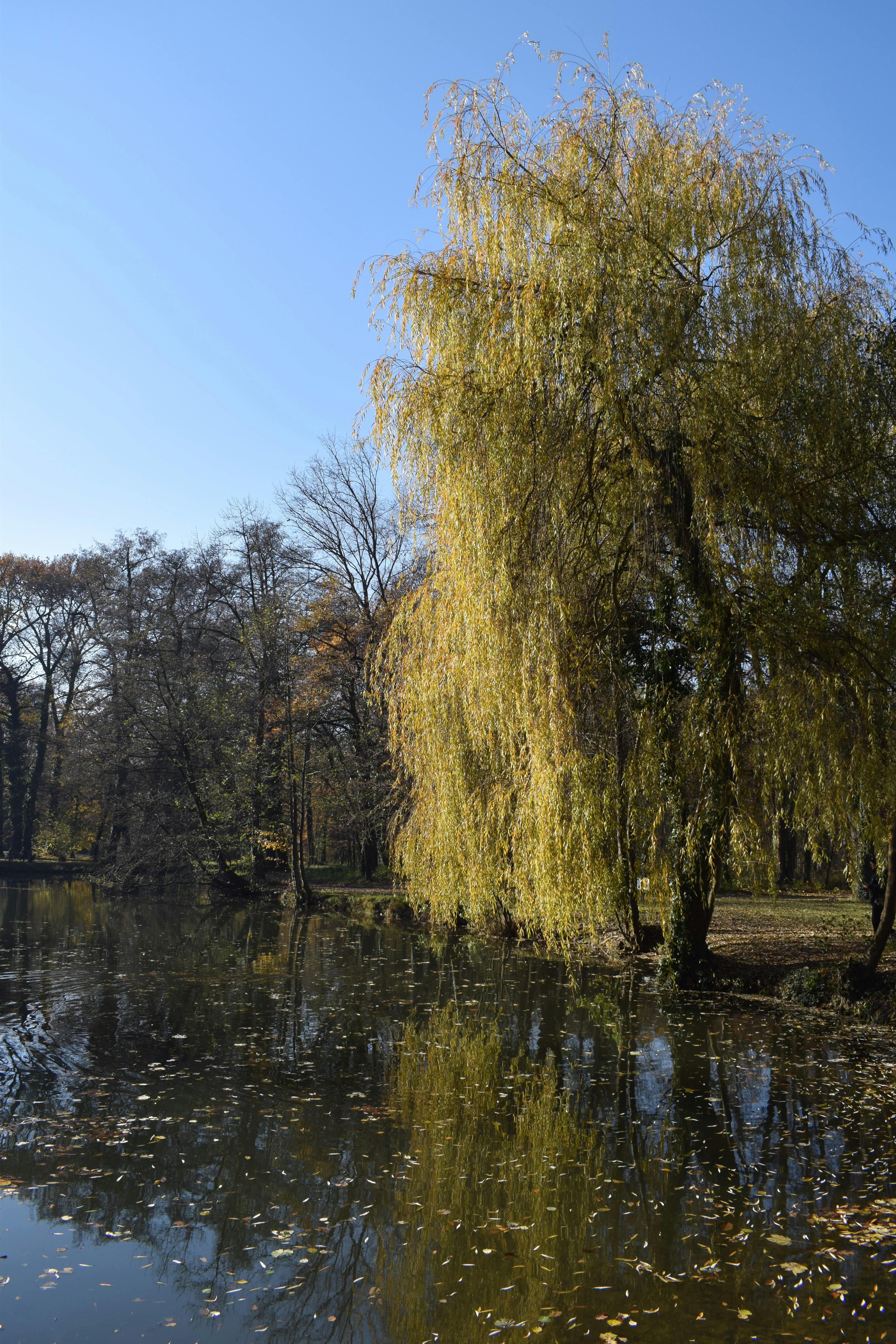 Willow+Bramley+Nude Photos, Download The BEST Free Willow+Bramley+Nude