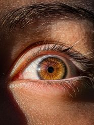 Brown Eye Close Up Brown Eye Close Up