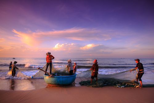 Free Men pulling fishing nets from a traditional boat at sunset on a sandy beach. Stock Photo