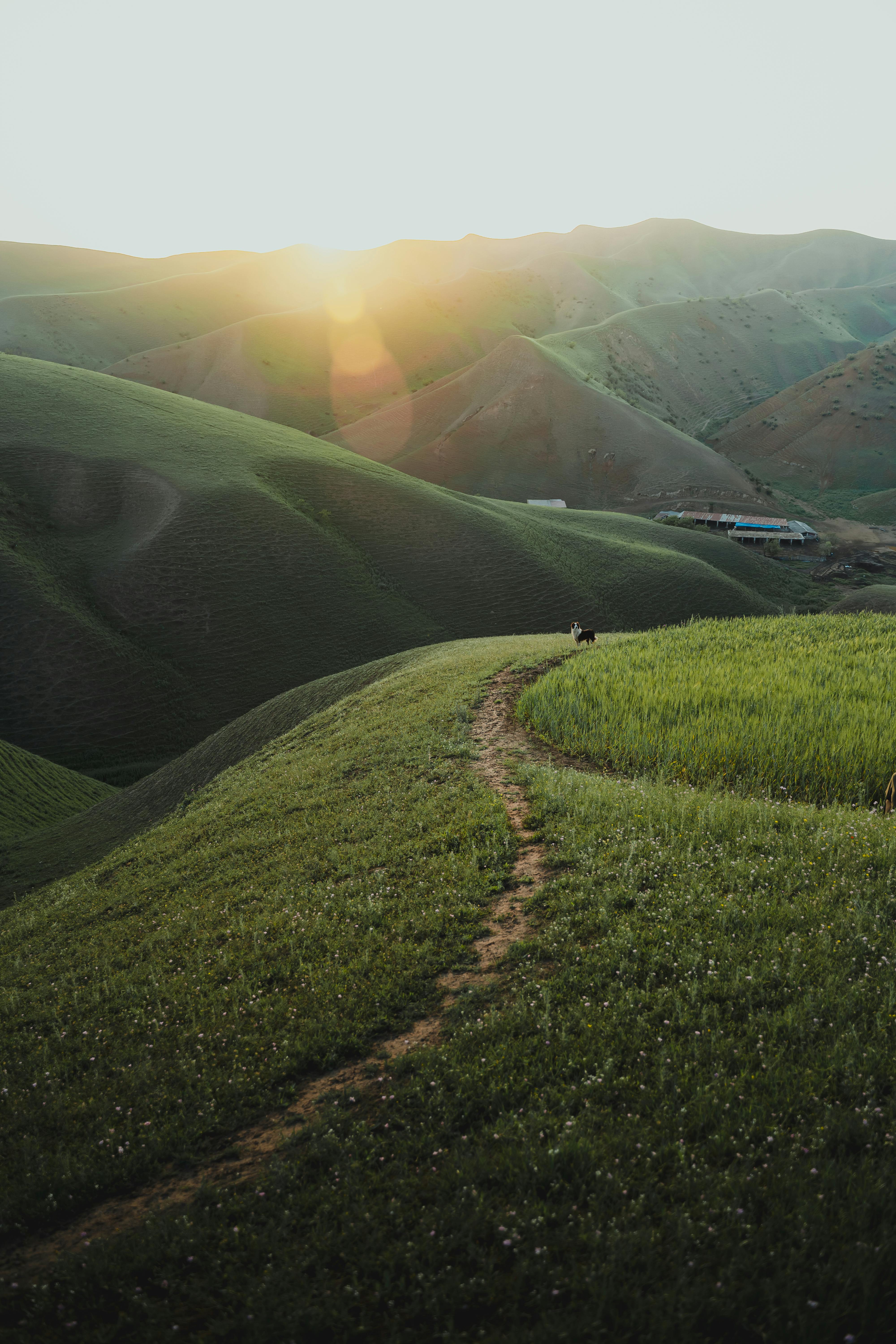 Serene mountain landscape with a sunlit path through green hills at sunrise.