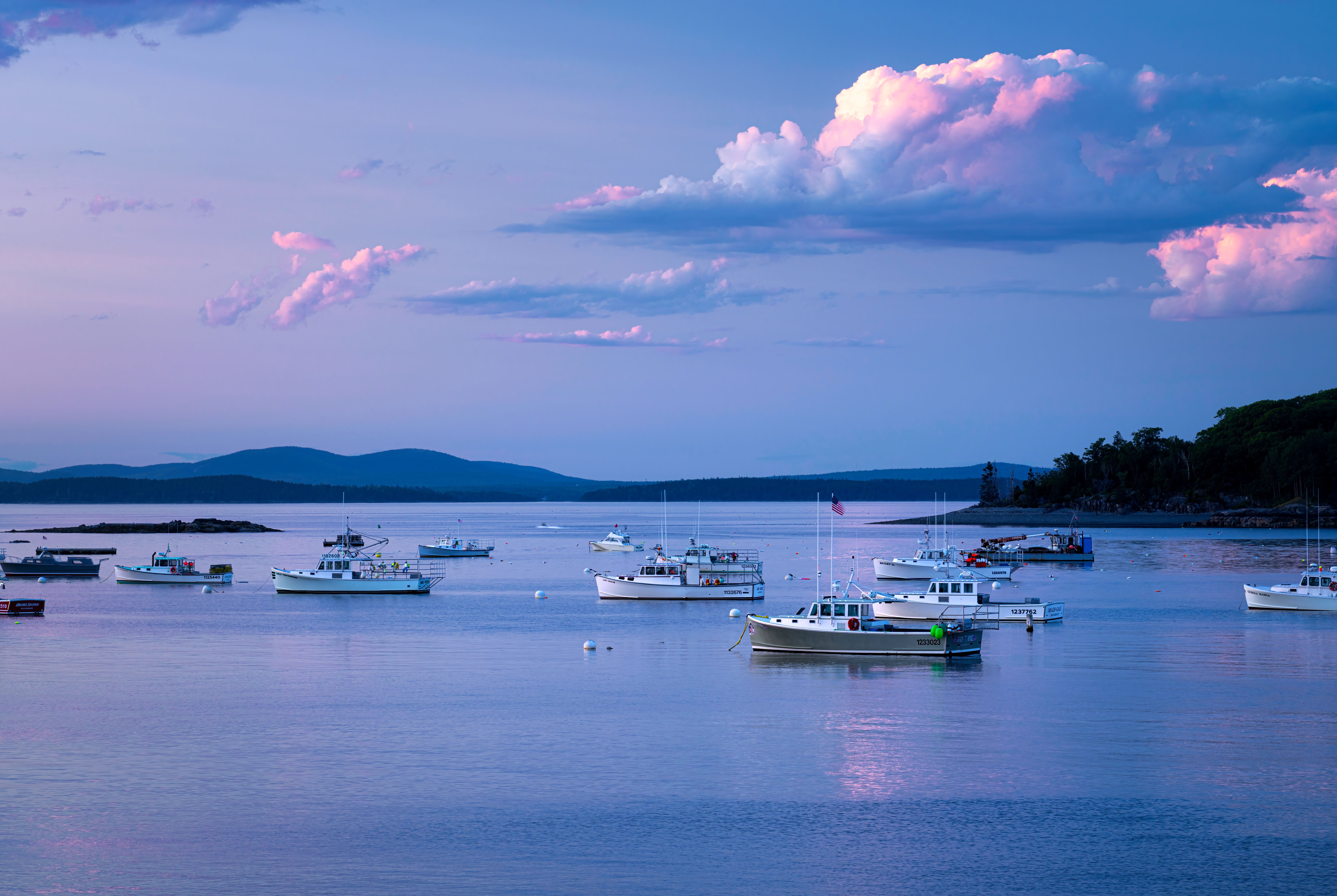 Best Dog-Friendly Hotels in Bar Harbor, Maine 2026