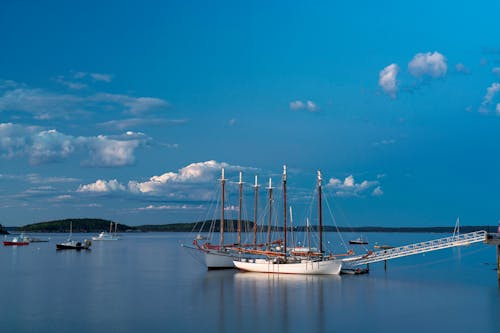 grátis Foto profissional grátis de águas calmas, barcos a vela, céu azul Foto profissional