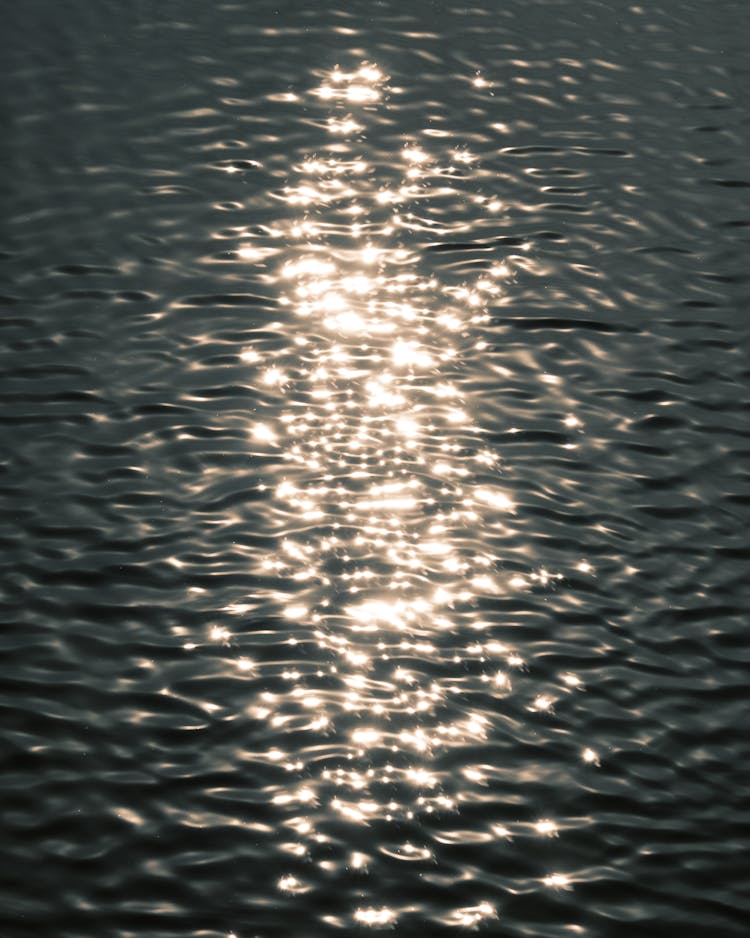 Reflection Of Sunlight On The Water