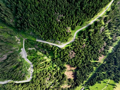 A stunning aerial shot of a winding road through lush green forests in Italy.
