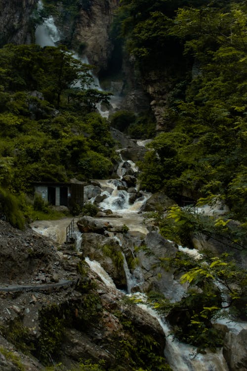 Waterfall in the Middle of the Forest