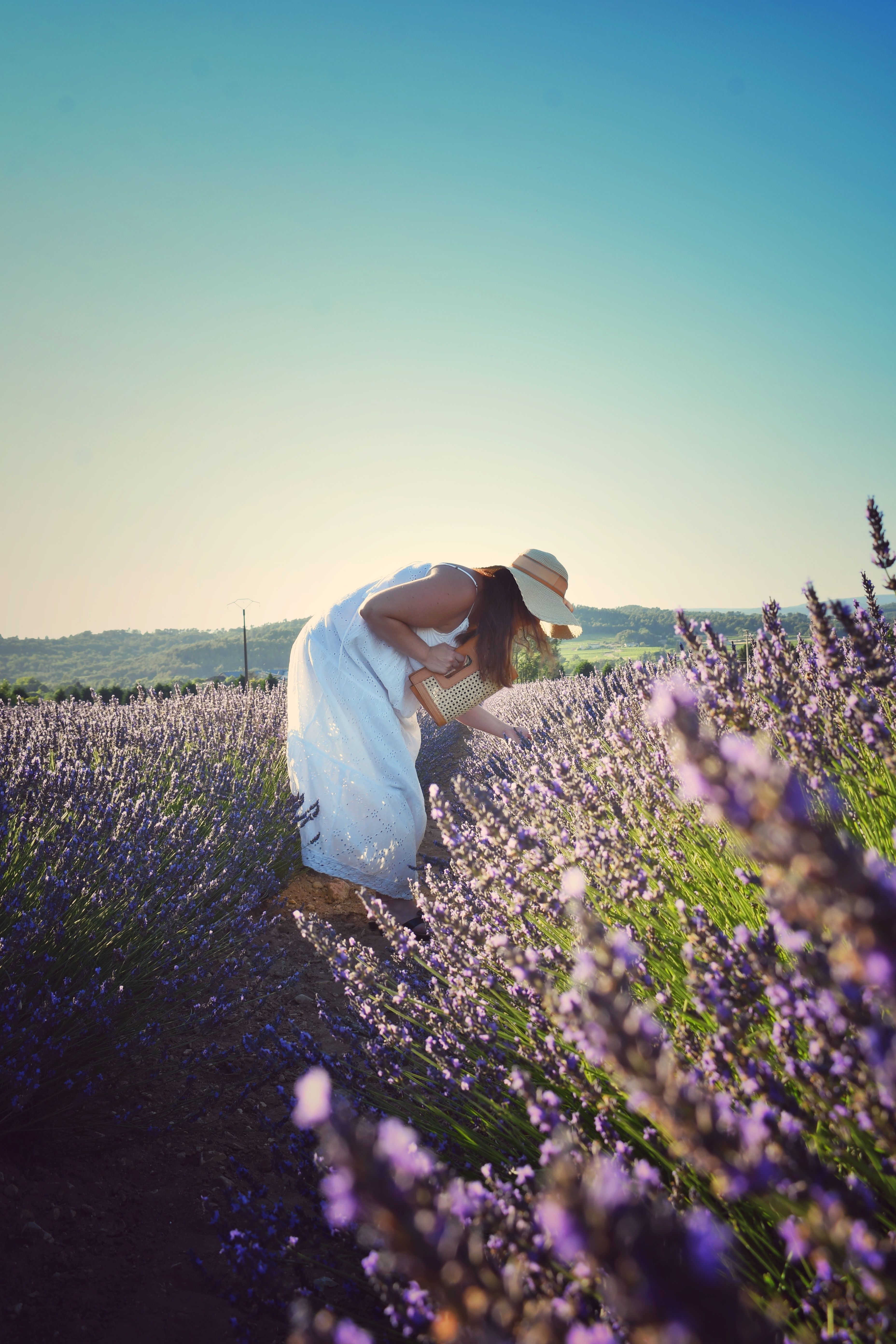 Woman in a White Dress Standing on a Lavender Field · Free Stock Photo