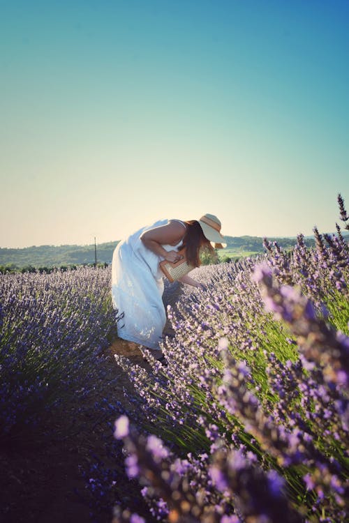 Woman in a White Dress Standing on a Lavender Field