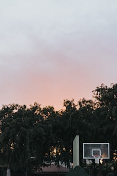 A basketball hoop stands against a vibrant sunset sky and green trees, creating a serene outdoor scene.