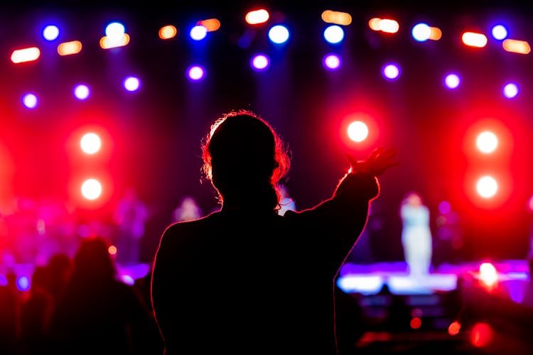 Person With Raised Arm In A Nightclub 