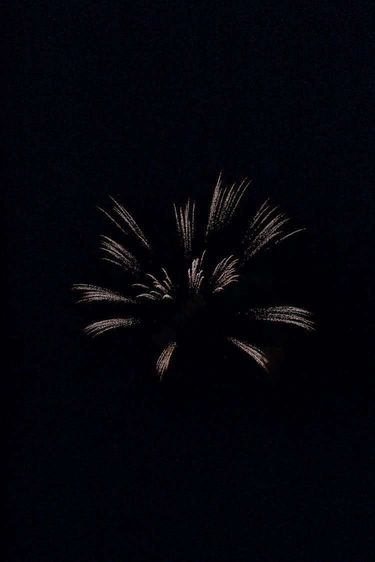 White And Black Fireworks In The Sky