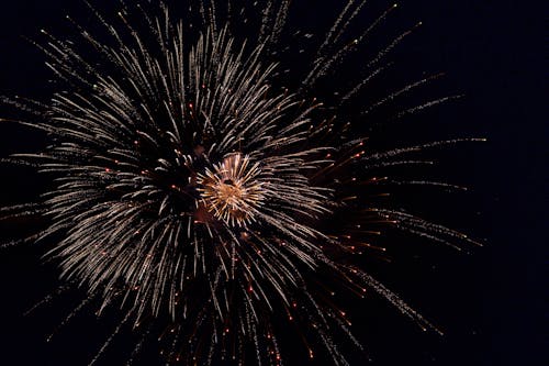 Red and White Fireworks Display