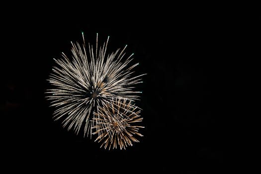 Colorful fireworks exploding against a black night sky, capturing celebration and light.