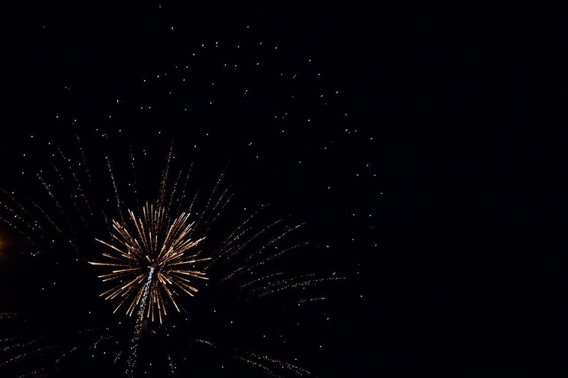 Fireworks Display at Night 