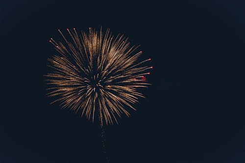 Firework Exploding in Night Sky