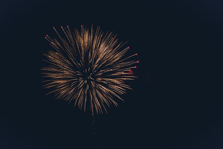 Firework Exploding In Night Sky