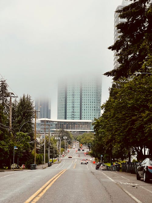 Asphalt Road With Skyscrapers Shrouded in Fog in the Background