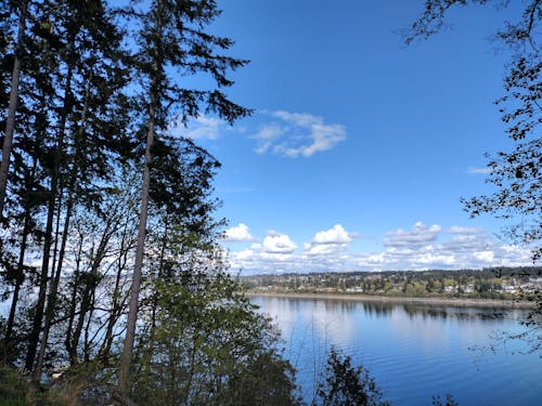 Gratis stockfoto met blauw water, blauwe lucht, wolken in de lucht