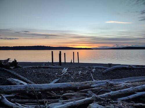 Free Sunset on the beach  Stock Photo