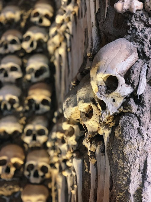 Close-up of Skulls on the Exterior of a Temple