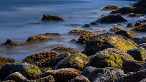 Mossy coastal rocks and gentle surf, photo by Skyler Ewing on Pexels