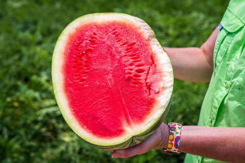 Free A close-up of a juicy watermelon half being held outdoors, showcasing the vibrant red flesh. Stock Photo