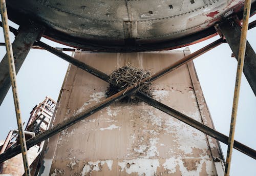 Birds Nest on an Abandoned Metal Construction in an Industrial Area 