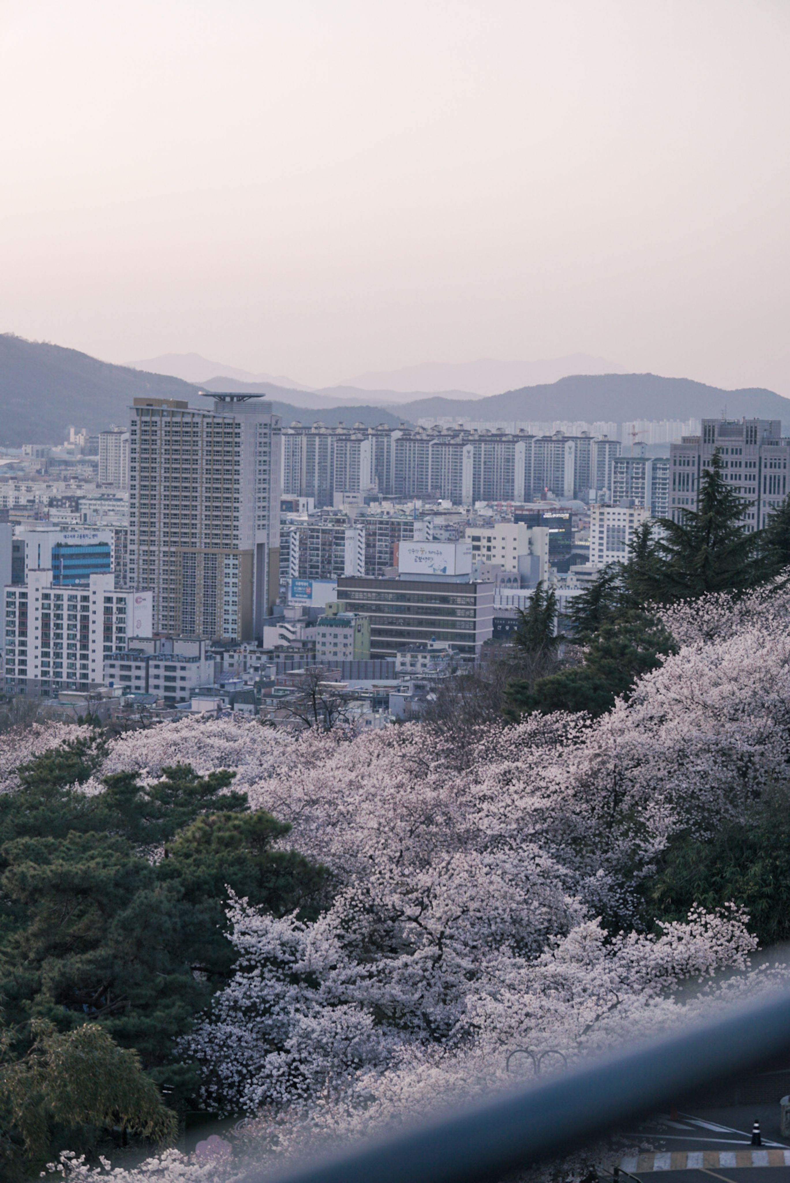 Global Korea Scholarship (GKS) 2026 🇰🇷 | Fully Funded
