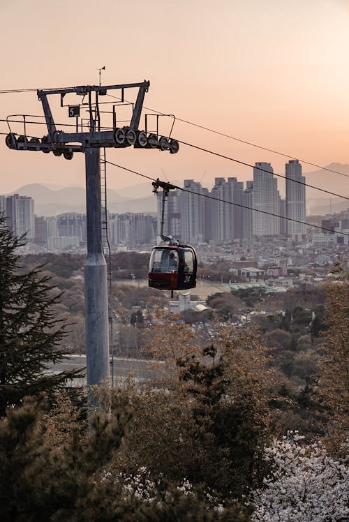 Cable Car Over Green Trees