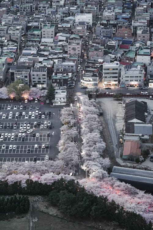 Бесплатное стоковое фото с Аэрофотосъемка, вертикальный выстрел, вид на город