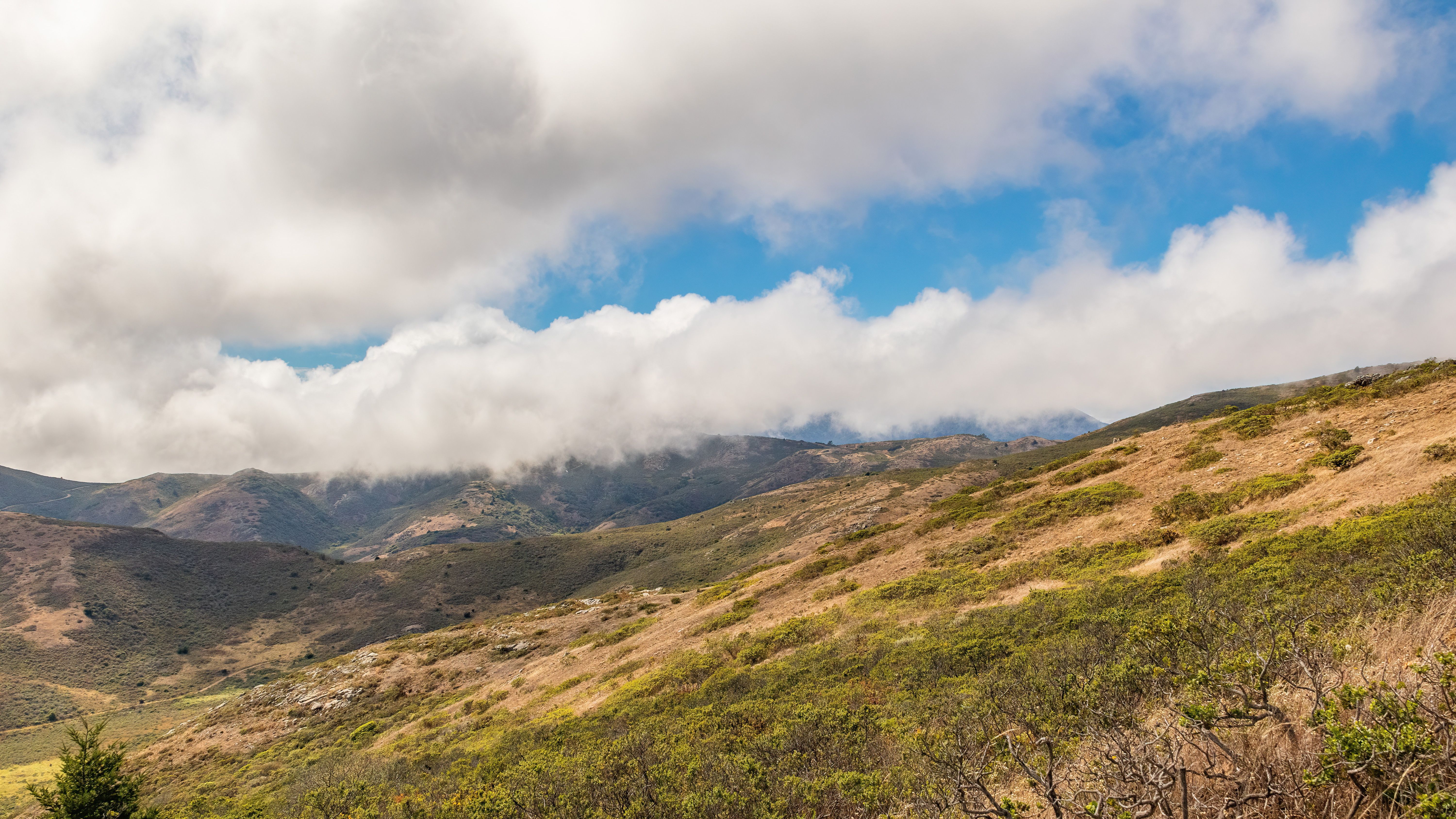 A Green Grass Field Under the White Clouds and Blue Sky · Free Stock Photo