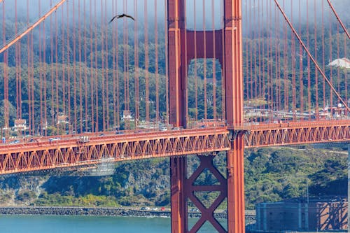 Close Up Shot of a Suspension Bridge