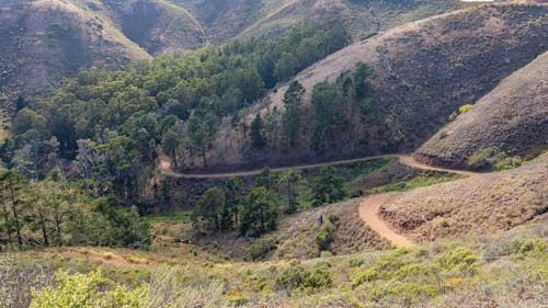 An Aerial Photography of a Green Trees on Mountain