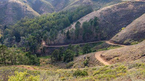 Free Scenic aerial shot of a winding road through verdant hills and dense forest landscape. Stock Photo
