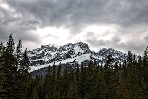 A Snow Covered Mountains Near the Green Trees