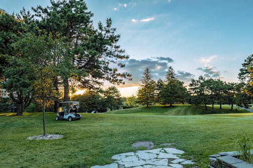 Foto d'estoc gratuïta de arbres verds, camp d'herba, carro de golf