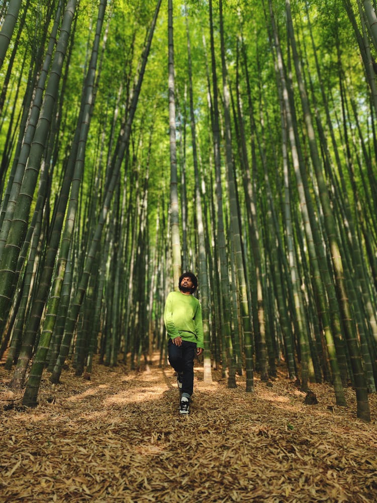 A Man Walking In The Bamboo Forest