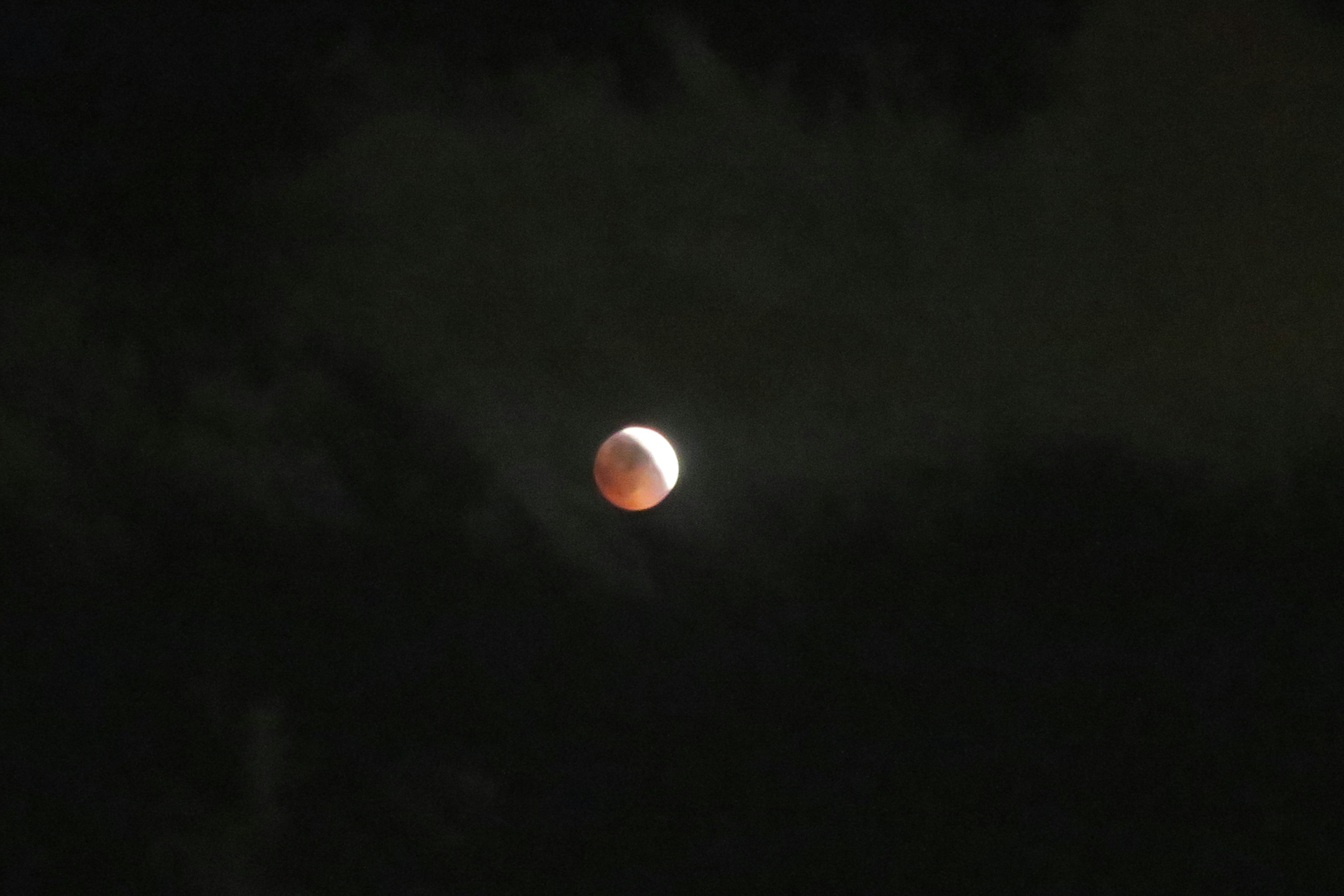 Free stock photo of lunar eclipse