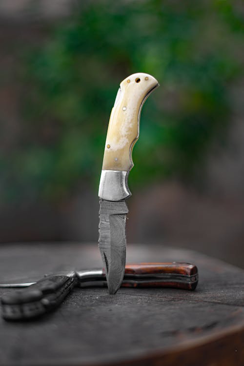 Free Hunting Knife Stuck in Stump Stock Photo