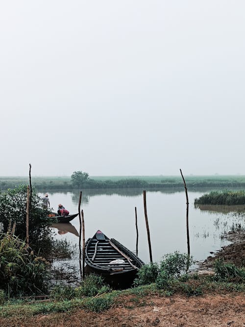 Gratis stockfoto met copyruimte, landelijk, mist