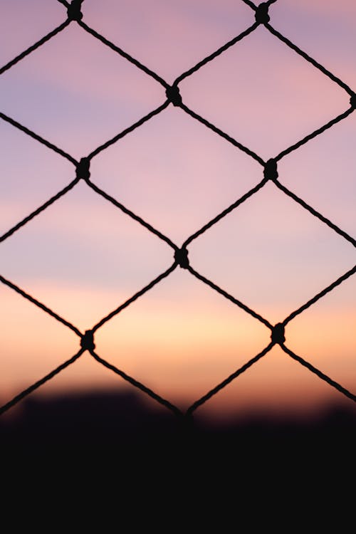 Close-Up Shot of a Metal Fence