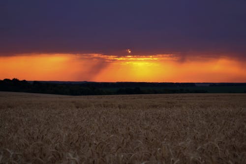 Безкоштовне стокове фото на тему «Захід сонця, краєвид, навколишнє середовище» стокове фото