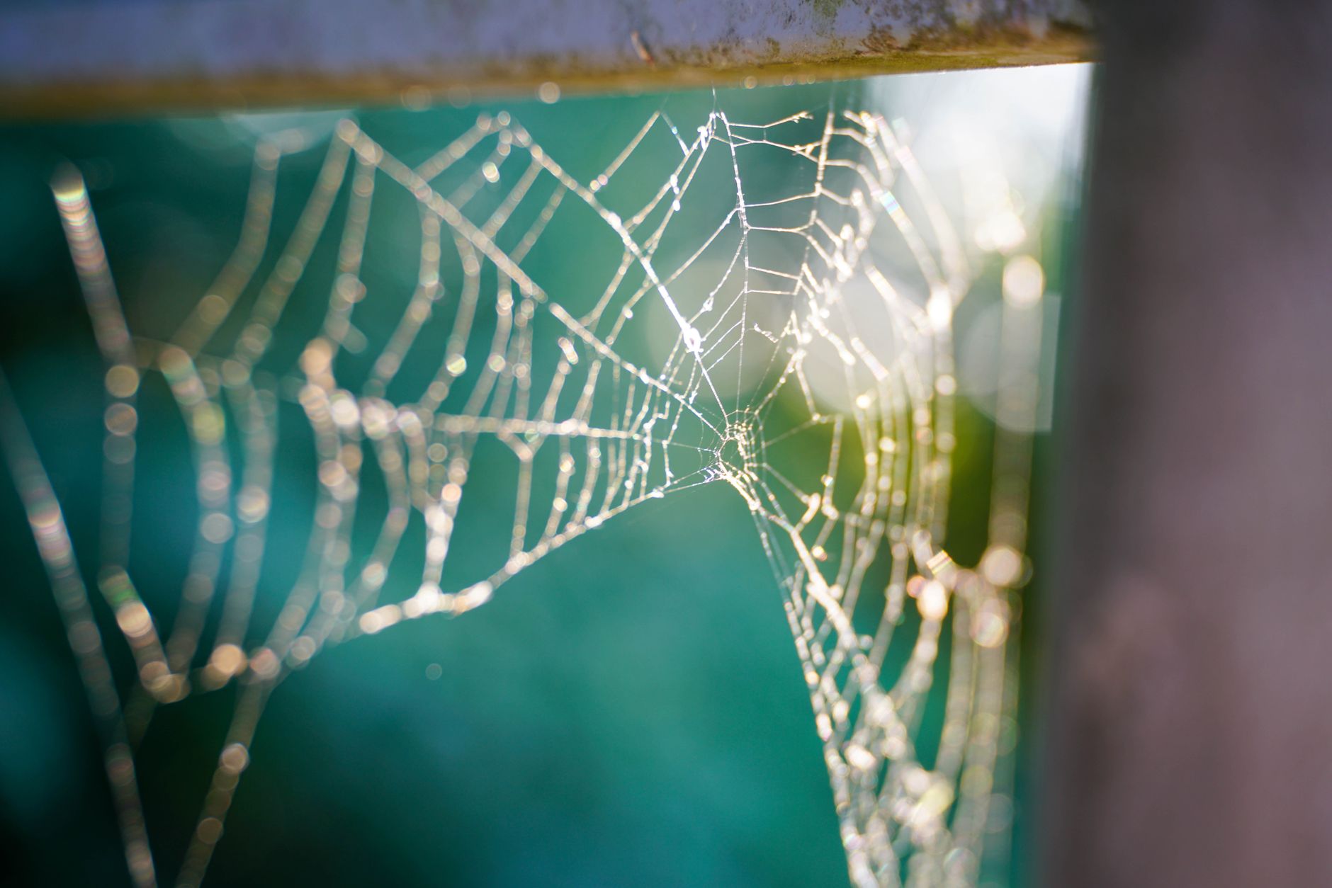 web scraping without getting blocked