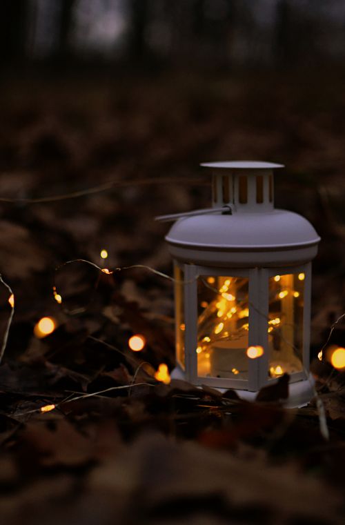 Free Beautiful white lantern with glowing lights amidst dry leaves, capturing the essence of autumn. Stock Photo