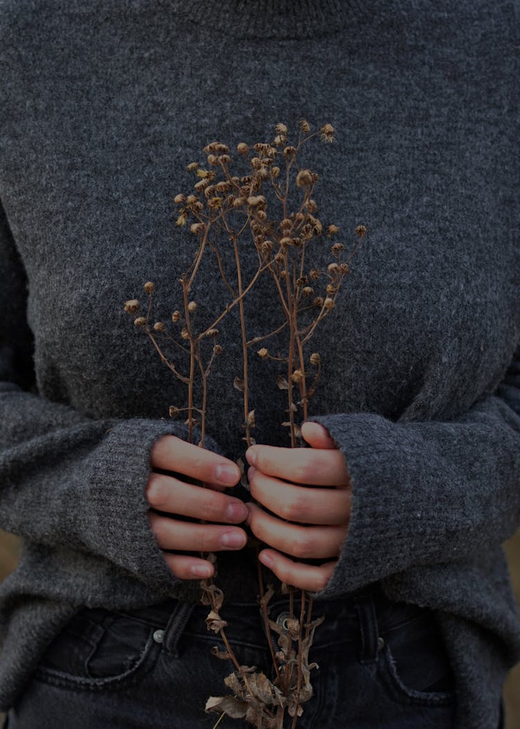 Close Up Of A Woman In A Gray Sweater Holding A Dry Plant