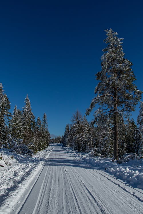 Snow Covered Road Under the Blue Sky