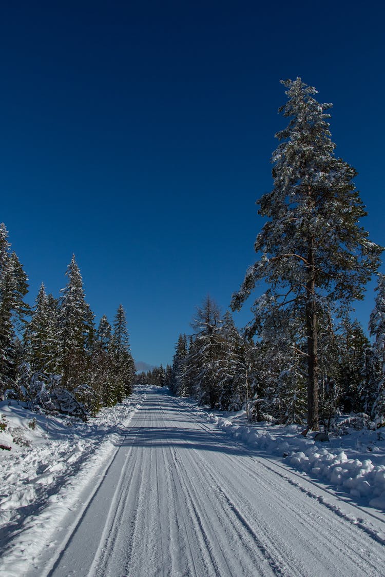 Snow Covered Road Under The Blue Sky